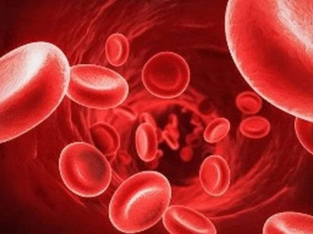 8 نشانه متداول برای کم خونی به همراه روش های درمانی آن